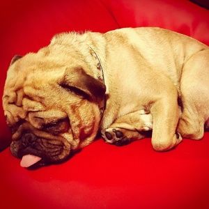 Meet your Posher, Sheryl